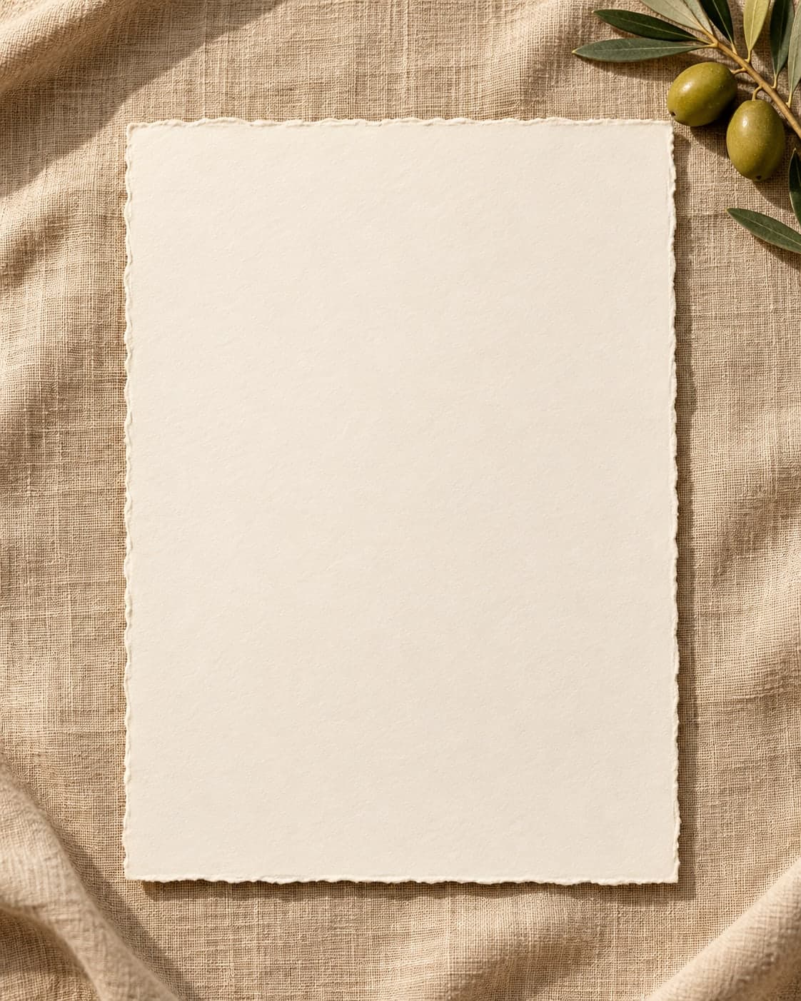Papier ivoire posé sur du lin naturel, avec une branche d’olivier.